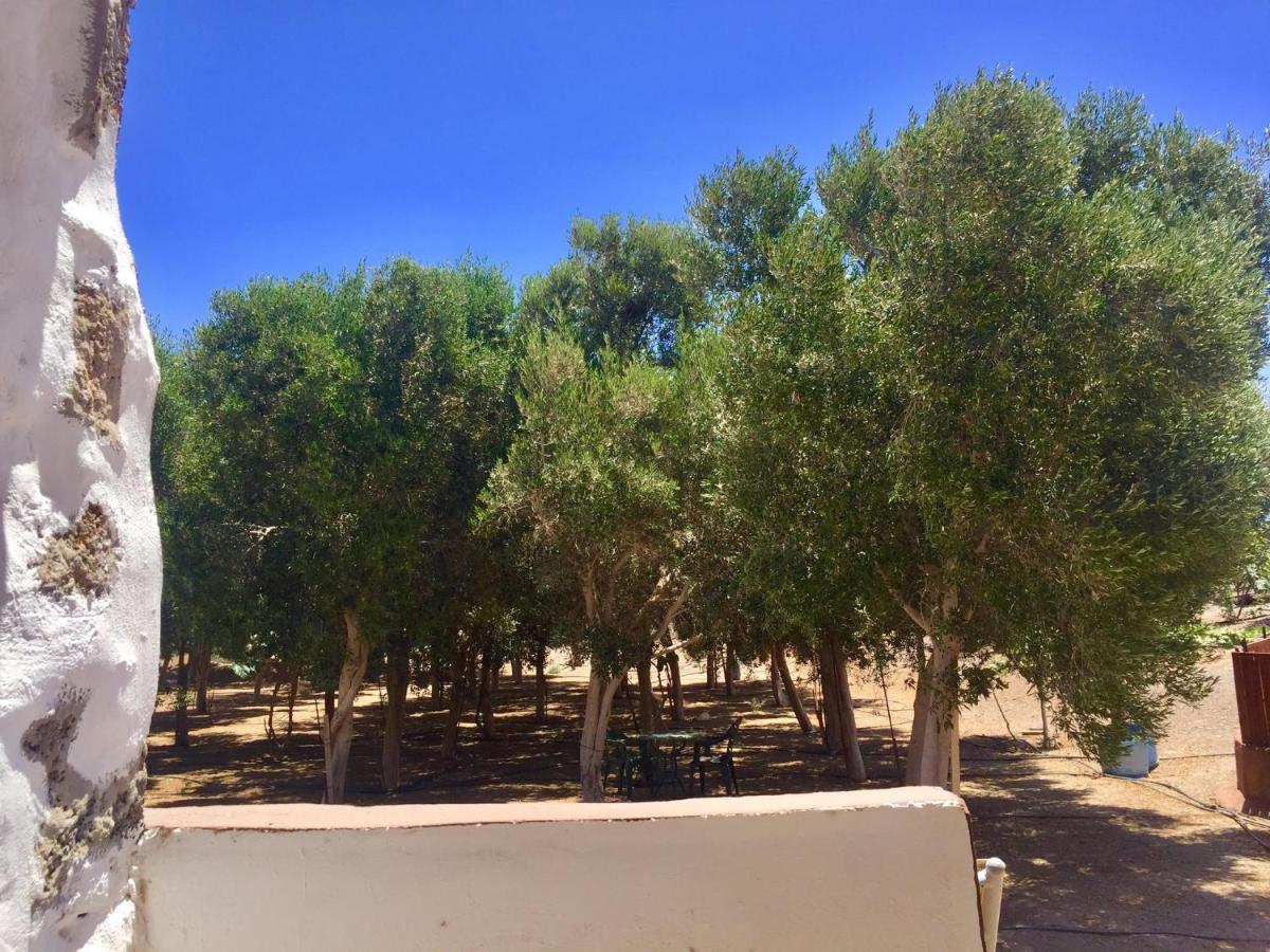 Bungalow Alma #Only Adults El Charco  Εξωτερικό φωτογραφία